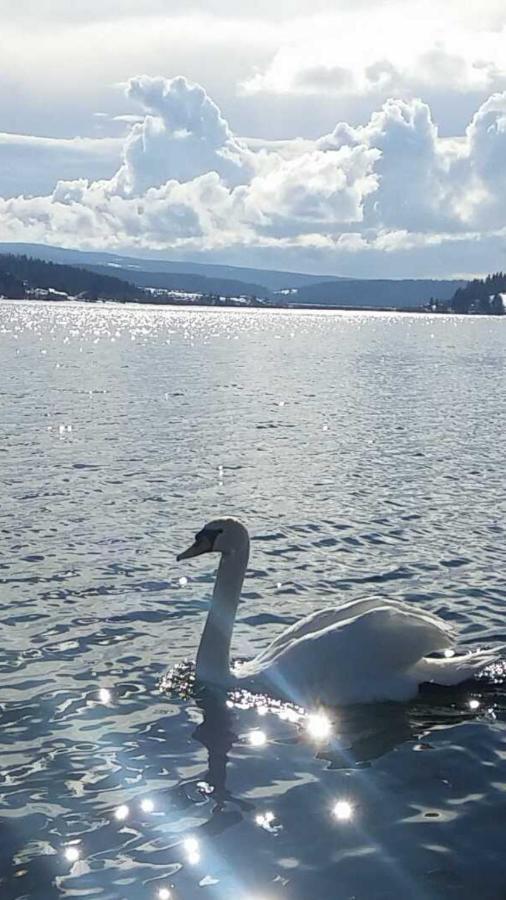 L'Ecrin Du Lac Saint-Point-Lac Esterno foto